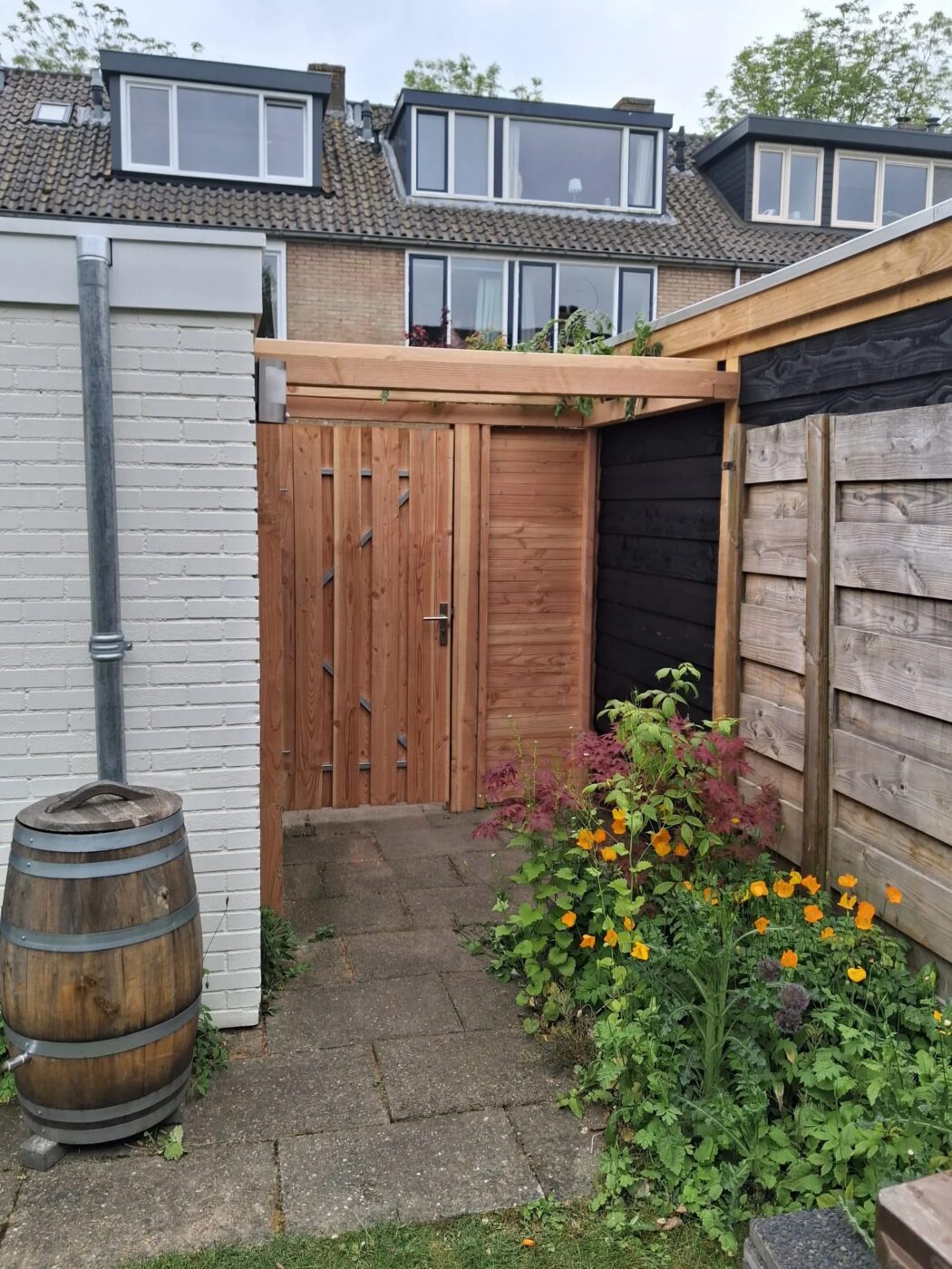 Douglas pergola